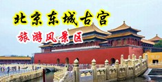 小鸟酱黑丝足交中国北京-东城古宫旅游风景区