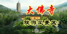 嗯~~啊~~你的鸡巴好大~~视频中国浙江-新昌大佛寺旅游风景区